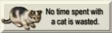 Cat Banner: No time spent with a cat is wasted