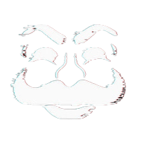 fsociety